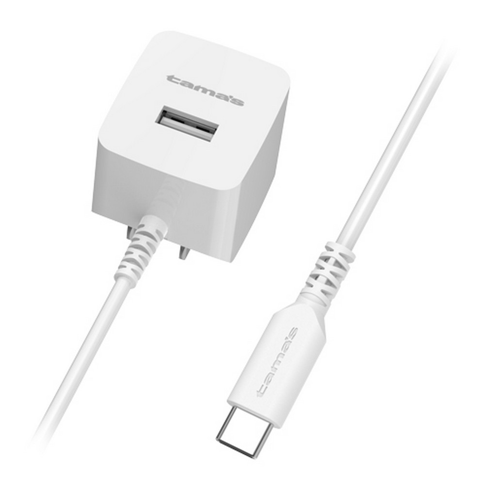 多摩電子 Type-Cチャージャー 2.4A TA77CUW