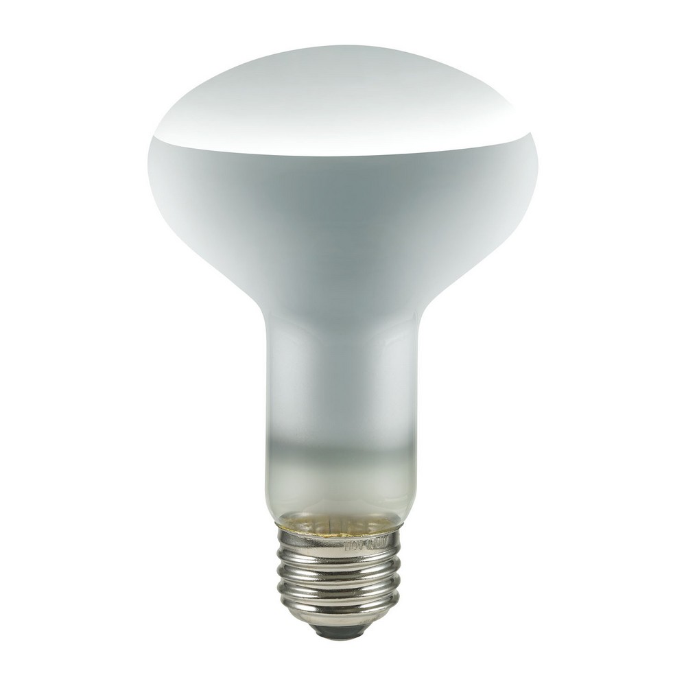 エルパ 長寿命レフランプ ERF110V100W-L