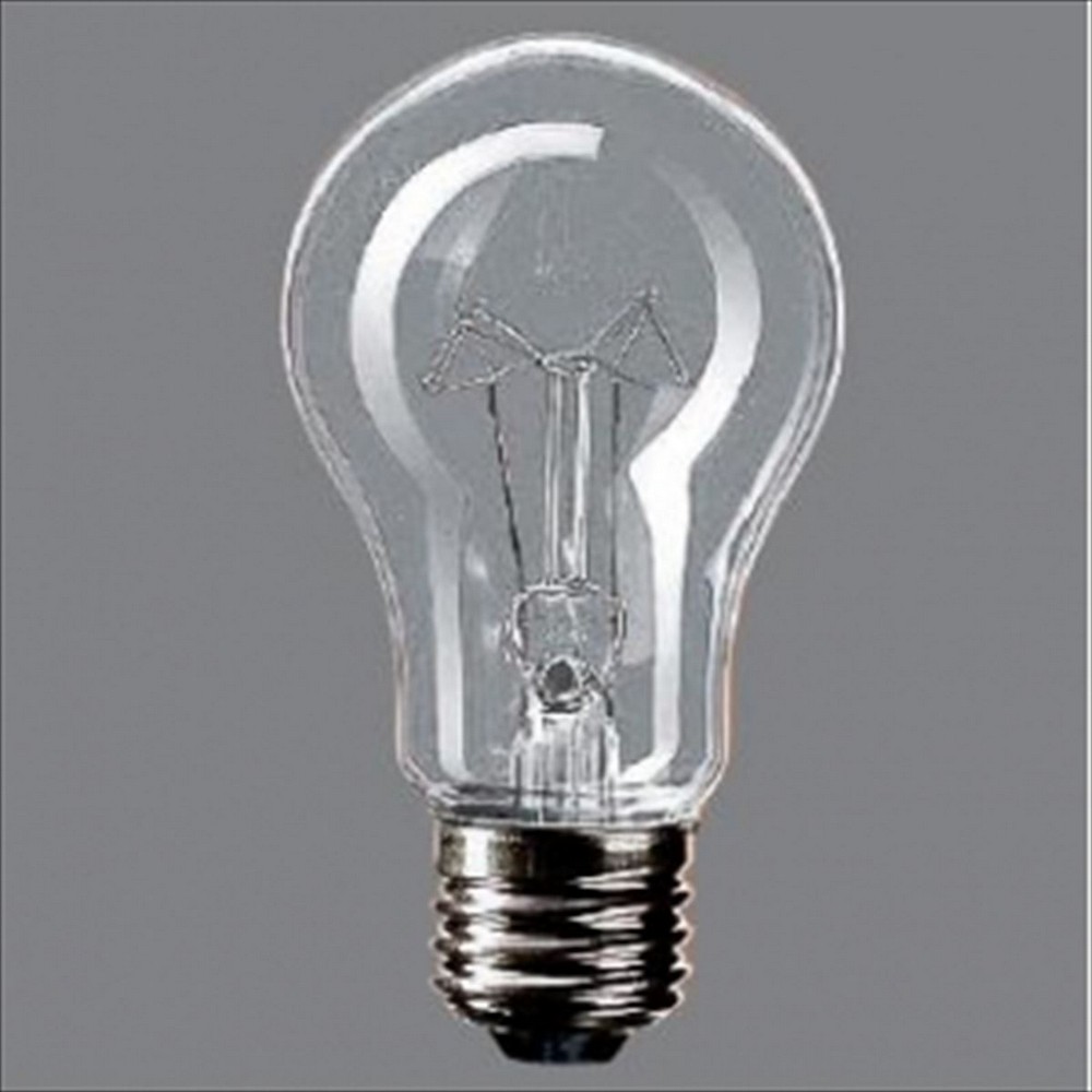 パナソニック 耐振電球 RC220V60WCD